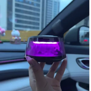 Decorative Car Perfume Aroma Diffuser